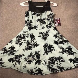 Trixxi Mint Green Black Rose Dress